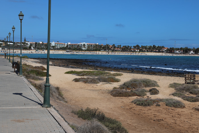 Fuerteventura, Caleta de Fuste, Playa del Castillo - mittelmeer-reise-und-meer.de