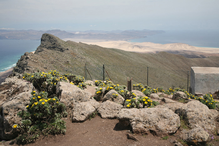 Fuerteventura, Pico de La Zarza, Gipfel - mittelmeer-reise-und-meer.de