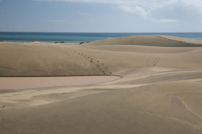 Gran Canaria, Dünen Maspalomas, Dünen mit Meerblick (1-3) - mittelmeer-reise-und-meer.de