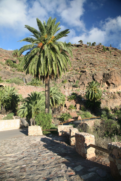 Gran Canaria, GC-601, Parkplatz Fuente de la Guirrera - mittelmeer-reise-und-meer.de