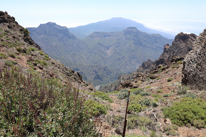 La Palma, Roque de los Muchachos, Pico Bejenado, Vulkan Cumbre Vieja - mittelmeer-reise-und-meer.de