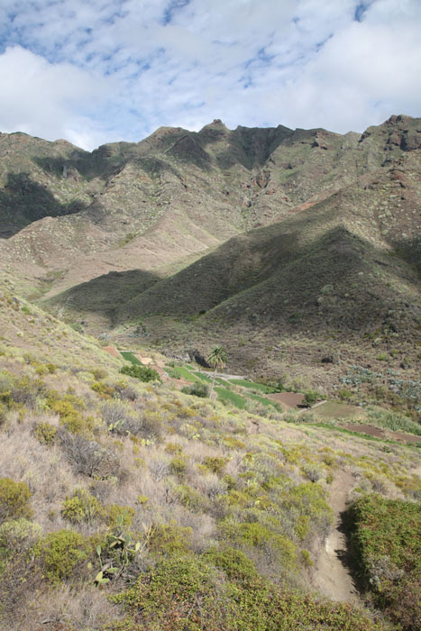Teneriffa, TF-12, Fruchtbares Tal im Anagagebirge - mittelmeer-reise-und-meer.de