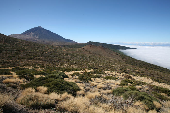 Teneriffa, TF-24, Blick auf den Pico del Teide - mittelmeer-reise-und-meer.de