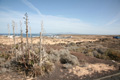 Majanicho, Blick von der Zufahrt Origo Mare, Fuerteventura