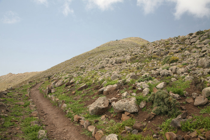 Fuerteventura, Pico de La Zarza, Aufstieg 4 - mittelmeer-reise-und-meer.de