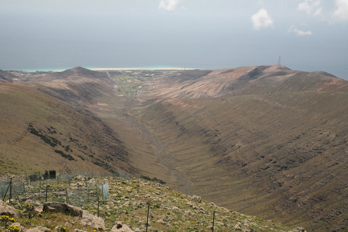 Fuerteventura, Pico de La Zarza, Barranco de Vinamar - mittelmeer-reise-und-meer.de