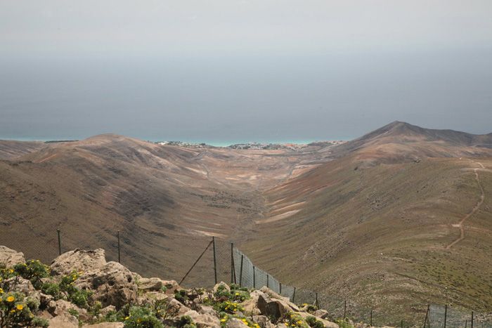 Fuerteventura, Pico de La Zarza, Valluelo de la Cal - mittelmeer-reise-und-meer.de