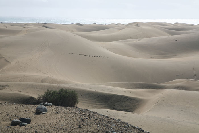 Gran Canaria, Dünen Maspalomas, (7-9) - mittelmeer-reise-und-meer.de