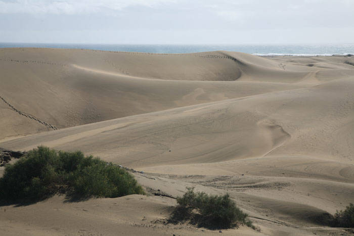 Gran Canaria, Dünen Maspalomas, (7-9) - mittelmeer-reise-und-meer.de