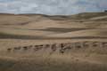 Dünen Maspalomas, (10-12), Gran Canaria