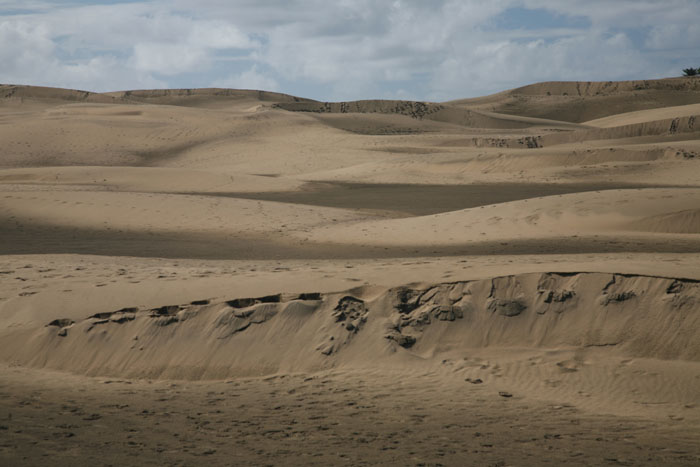 Gran Canaria, Dünen Maspalomas, (10-12) - mittelmeer-reise-und-meer.de