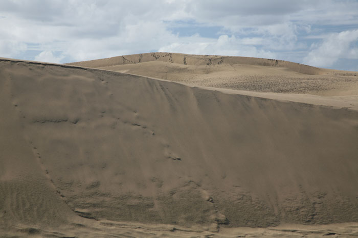 Gran Canaria, Dünen Maspalomas, (10-12) - mittelmeer-reise-und-meer.de