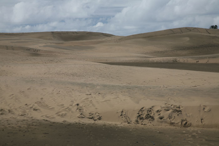 Gran Canaria, Dünen Maspalomas, (10-12) - mittelmeer-reise-und-meer.de