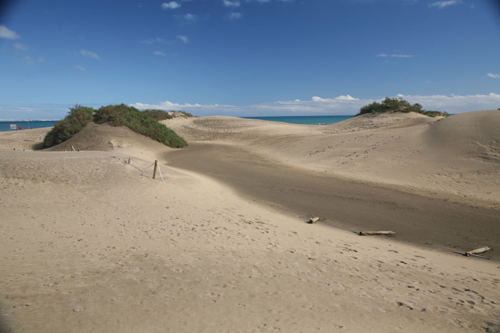 Gran Canaria, Dünen Maspalomas, Dünen mit Meerblick (4-6) - mittelmeer-reise-und-meer.de