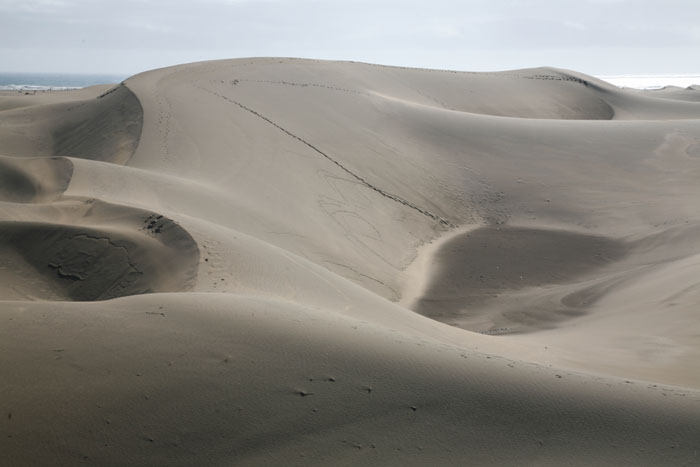 Gran Canaria, Dünen Maspalomas, Dünen mit Meerblick (4-6) - mittelmeer-reise-und-meer.de