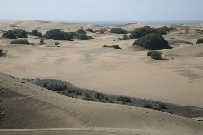 Gran Canaria, Dünen Maspalomas, Dünen mit Meerblick (1-3) - mittelmeer-reise-und-meer.de