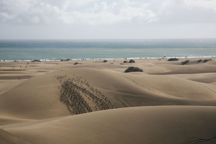 Gran Canaria, Dünen Maspalomas, Dünen mit Meerblick (1-3) - mittelmeer-reise-und-meer.de