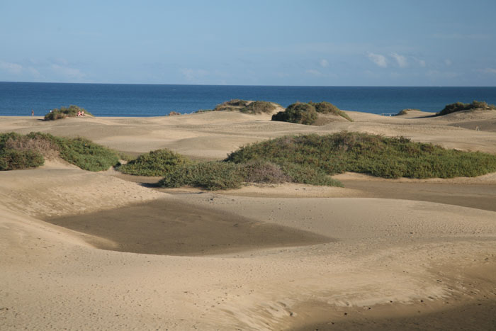 Gran Canaria, Dünen Maspalomas, Dünen mit Meerblick (4-6) - mittelmeer-reise-und-meer.de