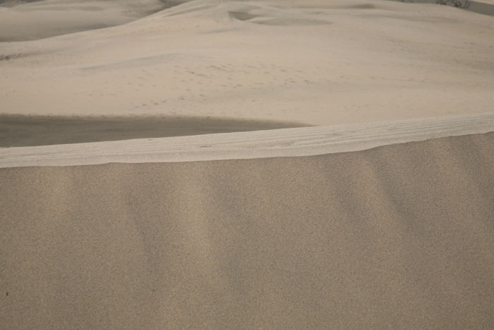 Gran Canaria, Dünen Maspalomas, Die Mini-Wüste - mittelmeer-reise-und-meer.de