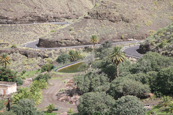 Gran Canaria, GC-200, Richtung Agaete, km 4,7 - mittelmeer-reise-und-meer.de