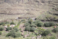 GC-200, Richtung Agaete, km 4,7, Gran Canaria