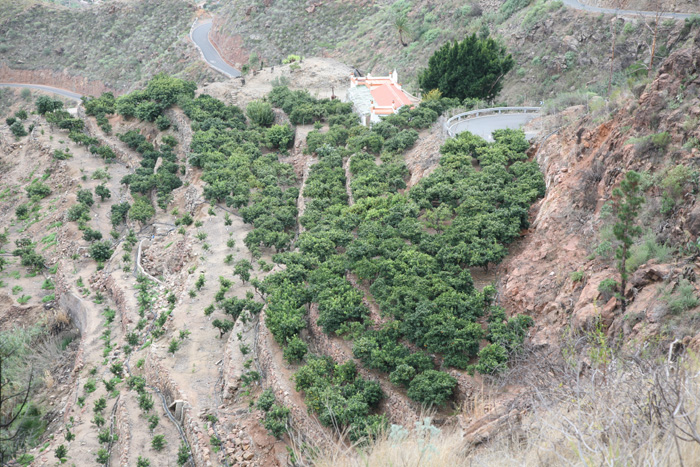 Gran Canaria, GC-505, Lugar Barranquillo Andres, km 18, Blick ins Tal - mittelmeer-reise-und-meer.de