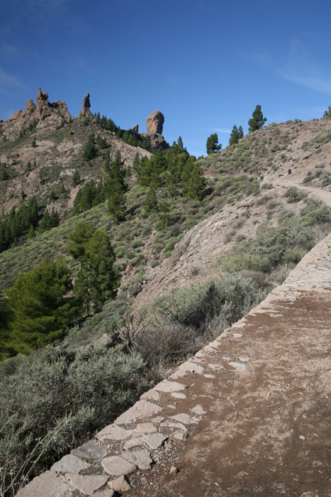 Gran Canaria, GC-600, Weg zum Roque Nublo - mittelmeer-reise-und-meer.de