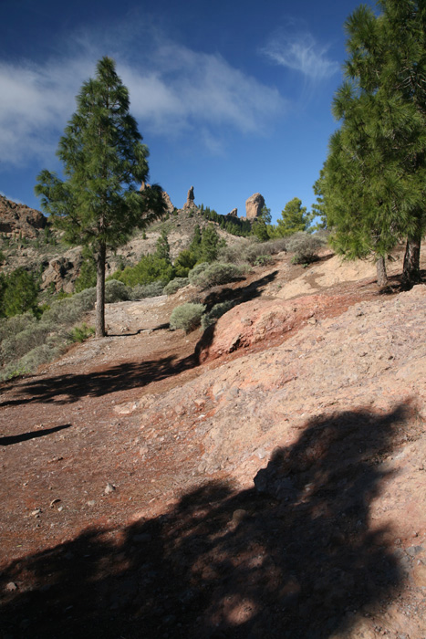 Gran Canaria, GC-600, Weg zum Roque Nublo - mittelmeer-reise-und-meer.de