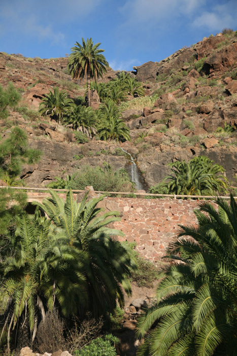 Gran Canaria, GC-601, Fuente de la Guirrera - mittelmeer-reise-und-meer.de