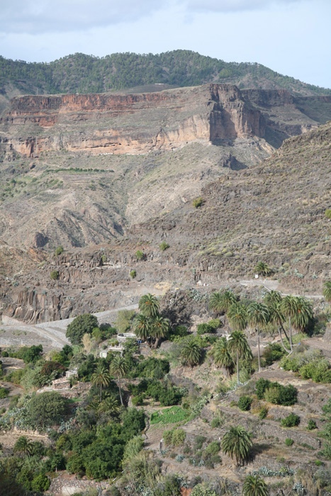 Gran Canaria, GC-606, Tal der Palmen - mittelmeer-reise-und-meer.de