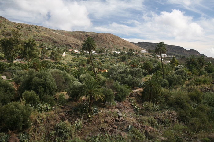 Gran Canaria, GC-65, Barranco de Tirajana - mittelmeer-reise-und-meer.de