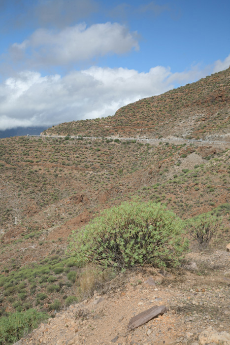 Gran Canaria, GC-65, km 14, Barranco de Tirajana - mittelmeer-reise-und-meer.de