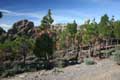 Blick auf den Gipfel, Pico de las Nieves, Gran Canaria