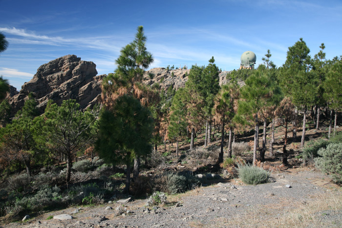 Gran Canaria, Pico de las Nieves, Blick auf den Gipfel - mittelmeer-reise-und-meer.de