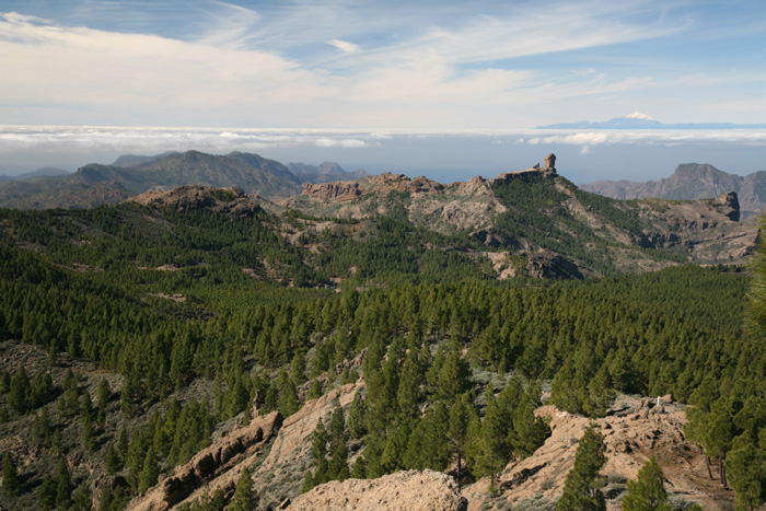 Gran Canaria, Pico de las Nieves, Panorama Pico del Teide - mittelmeer-reise-und-meer.de