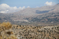 Panorama Tzermiado, Lassithi-Hochebene, Kreta