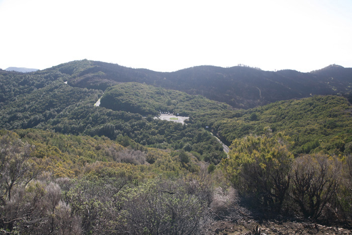 La Gomera, Alto de Garajonay, Wandern, Aufstieg, Aussicht nach Osten - mittelmeer-reise-und-meer.de