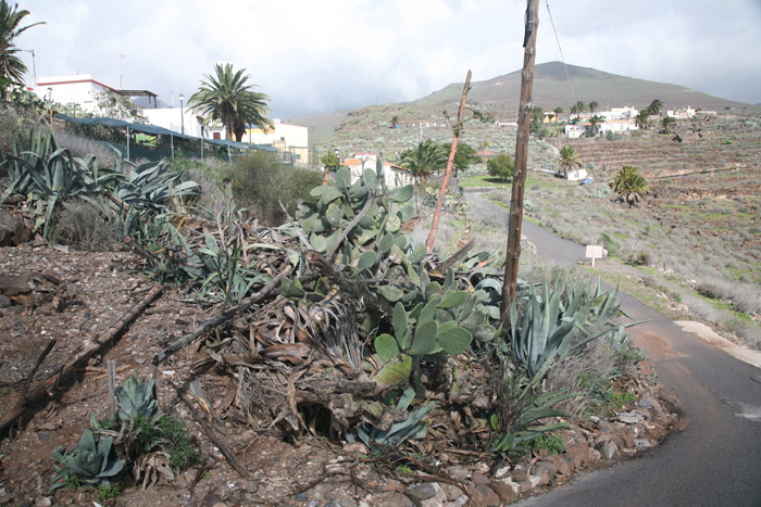 La Gomera, Arguayoda, Ferienhaus frei - mittelmeer-reise-und-meer.de