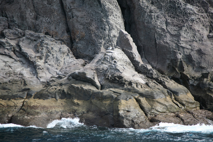 La Gomera, Bootstour Süden, Steilküste (7-9) - mittelmeer-reise-und-meer.de