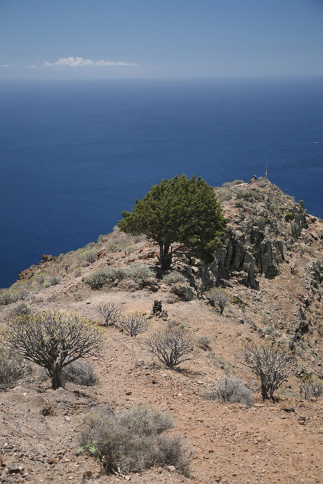 La Gomera, Sabina de La Mérica, Fast angekommen - mittelmeer-reise-und-meer.de