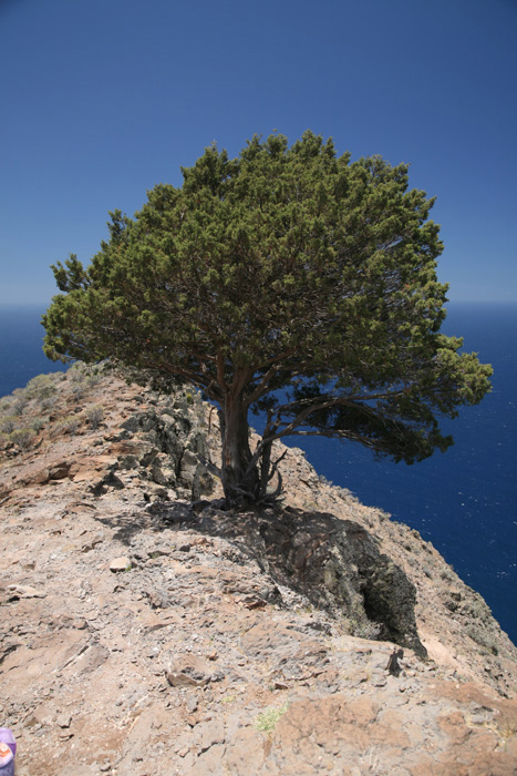 La Gomera, Sabina de La Mérica, Fast angekommen - mittelmeer-reise-und-meer.de