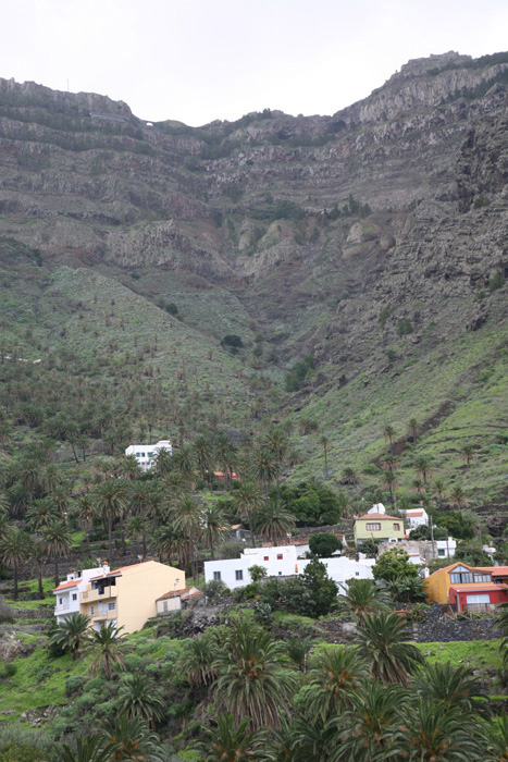 La Gomera, Taguluche, Palmental - mittelmeer-reise-und-meer.de