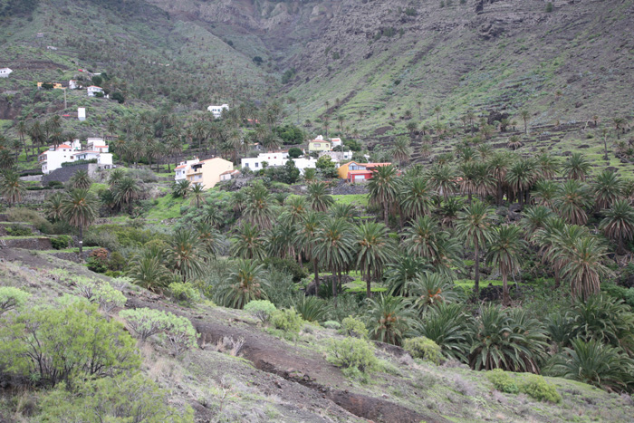 La Gomera, Taguluche, Palmental - mittelmeer-reise-und-meer.de