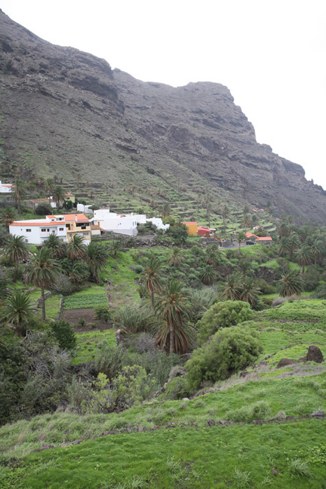 La Gomera, Taguluche, Palmental, unterer Teil - mittelmeer-reise-und-meer.de