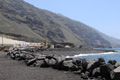 Playa, südlicher Teil, El Remo, La Palma