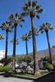 Plaza Chica, Los Llanos, La Palma