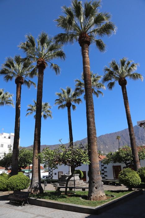 La Palma, Los Llanos, Plaza Chica - mittelmeer-reise-und-meer.de