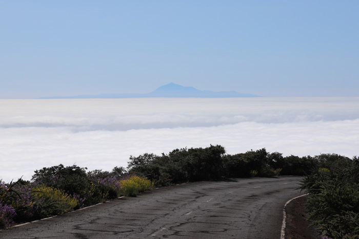 La Palma, LP-4, Lomo del Mosquito, Blick Pico del Teide - mittelmeer-reise-und-meer.de La Palma, LP-4, Lomo del Mosquito, Blick Pico del Teide - mittelmeer-reise-und-meer.de