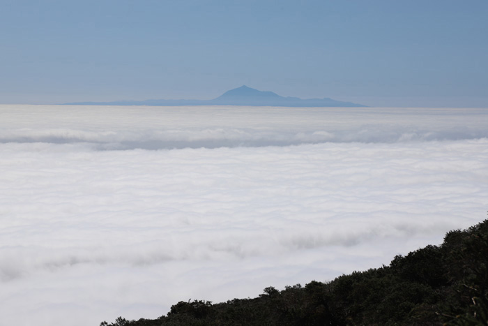 La Palma, LP-4, Lomo del Mosquito, Blick Pico del Teide - mittelmeer-reise-und-meer.de