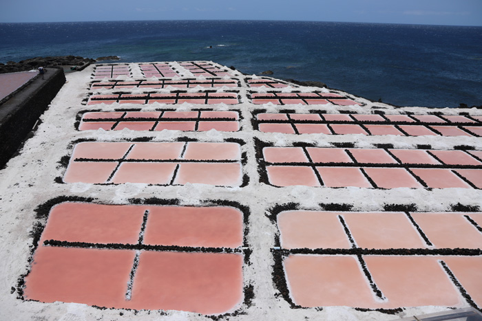 La Palma, Salinas de Fuencaliente, Salzbecken, rosa bzw. rote Färbung - mittelmeer-reise-und-meer.de